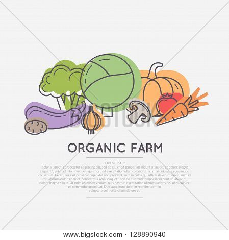 Organic food. A poster with fresh vegetables. Vector illustration.