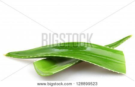 Aloe Vera Plant Isolated On White Stock Photos