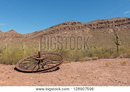 Wheel In The Desert
