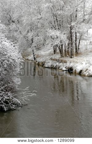 Zimní Forrest řeky