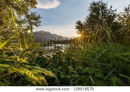 Sunrise scene on lake