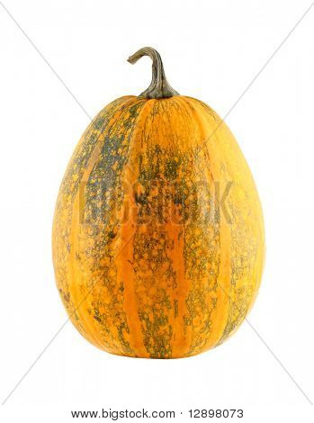 græskar