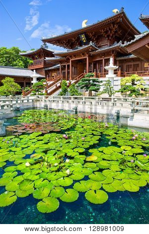 Hong Kong the pond with flowers of the Chi Lin antique monastry in the new Kowloon quarter
