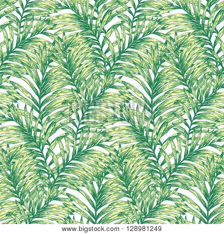 lTropical palm leaves vector seamless pattern. Botanical hand drawn background, wallpaper, fabric, textile, wrapping paper.