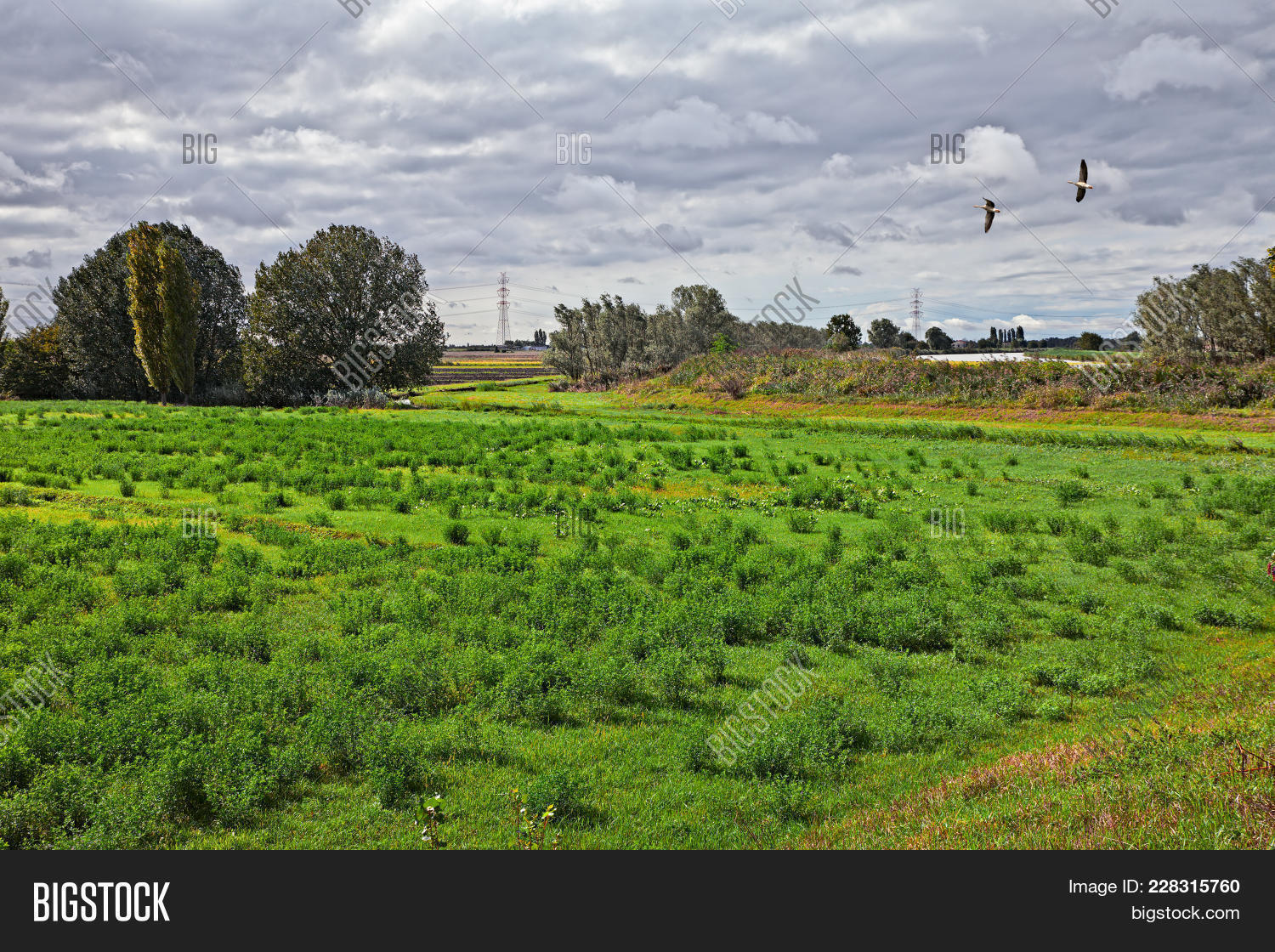 Adria, Rovigo, Image & Photo (Free Trial) Bigstock