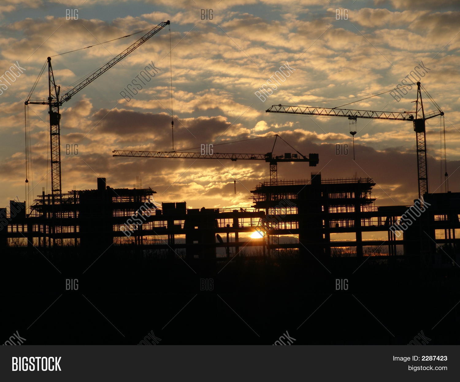 Image Preview