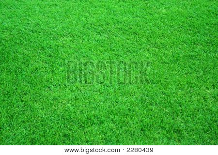 Campo de fútbol