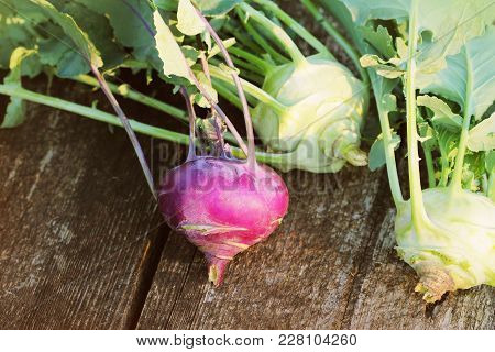 Fresh Kohlrabi On The Wooden Table Closeup .