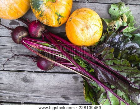 Vegetables  From Organic Grower Farm On A Wooden Background.cabbage, Pumpkin  And Beet. Top View. Pl