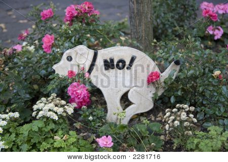 Kein Hund!