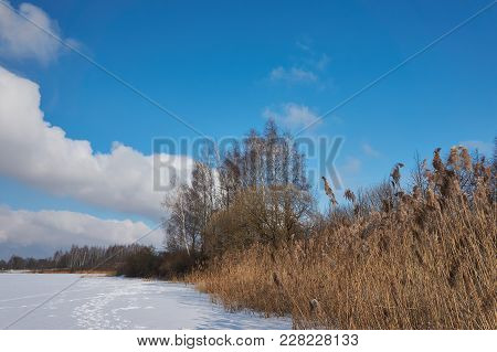 Ice And Snow Covered River, Trees, Rushes, Fallen Fields And Blue Sky With White Clouds. Cold, Snowy