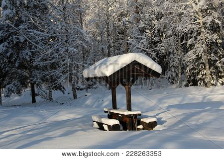 Table By Cross Country Ski Tracks In A Snowy Forest