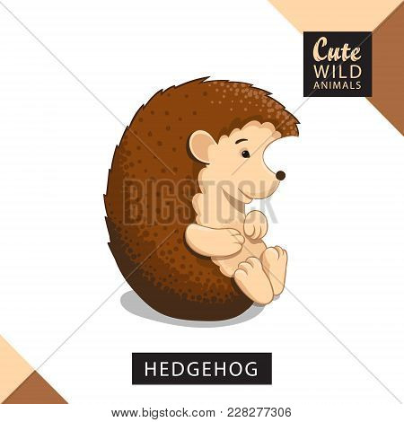 A Cute Hedgehog Is Sitting. Vector Illustration From Wild Animals Series. A Picture For Children's E
