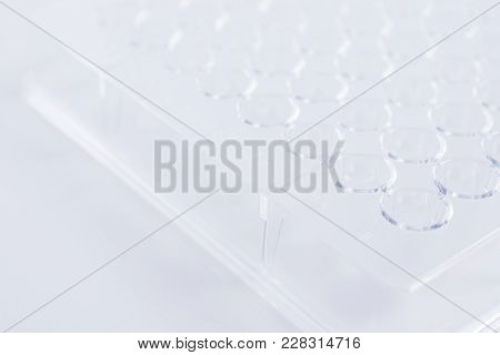 96 Well Plate. Laboratory Microplate. Research Science And Medical Background.
