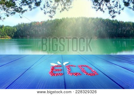 Ecological Nutrition That Nature Gives Us. Ecology Concept. Word Eco From Schisandra. Landscape Of F