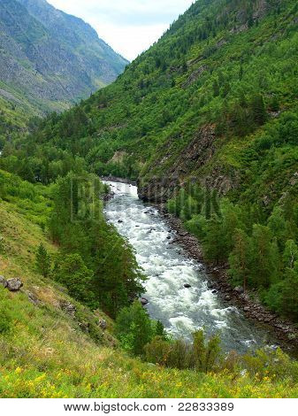 Floden Chulcha, mountain Altai