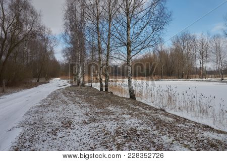 Ice And Snow Covered River, Trees, Rushes, Fallen Fields And Blue Sky With White Clouds. Cold, Snowy
