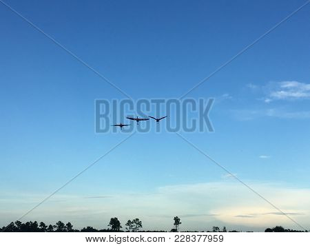 Three Flying Cranes