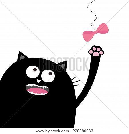 Black Cat Head Looking At Pink Bow Hanging On Thread. Playing Kitten. Paw Print. Cute Cartoon Funny 