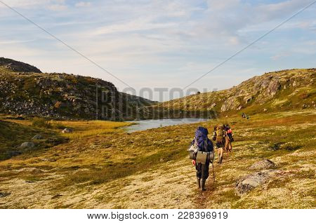 Tourists With Heavy Backpacks Hiking In Tundra. Kola Peninsula, Murmansk Region, Russia