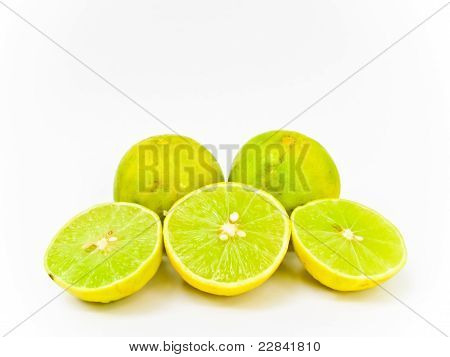 Calce isolata On White Background
