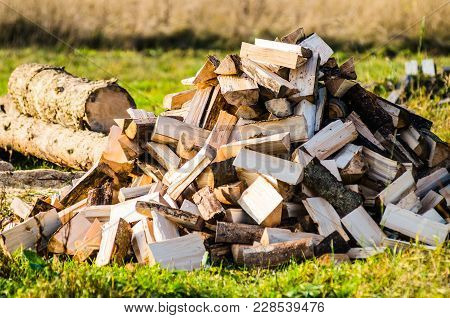 Pile Of Firewood. Preparation Of Firewood For The Winter. Background. Firewood In The Forest. Firewo