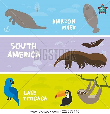 Cute Animals Set Anteater Manatee Sea Cow Sloth Toucan Bat Hyacinth Macaw, Kids Background, South Am