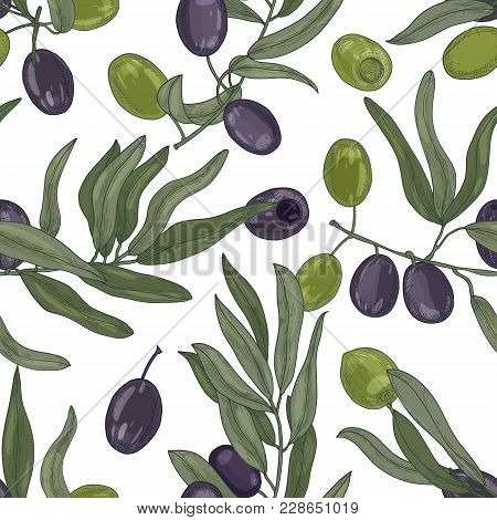 Elegant Botanical Seamless Pattern With Olive Tree Branches With Leaves, Black And Green Ripe Fruits