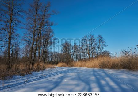 Ice And Snow Covered River, Trees, Rushes, Fallen Fields And Blue Sky With White Clouds. Cold, Snowy