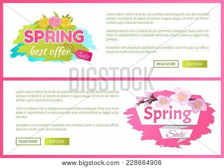Best Offer Spring Big Sale Advertisement Daisy Flowers And Cherry Blossom Vector Illustration Web Po