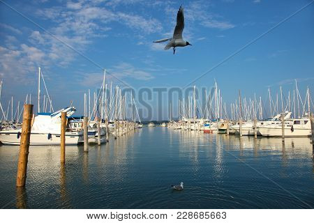 Seagulls And Yachts In Marienhamn Harbour On Aland Islands