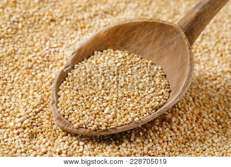 spoon of white quinoa seeds on quinoa background