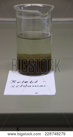 Settling Test With Sludge Samples In The Laboratory Of A Sewage Treatment Plant. It Is Activated Slu