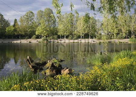 Evening In The Park. Park Of Valea Trandafirilor In Chisinau.