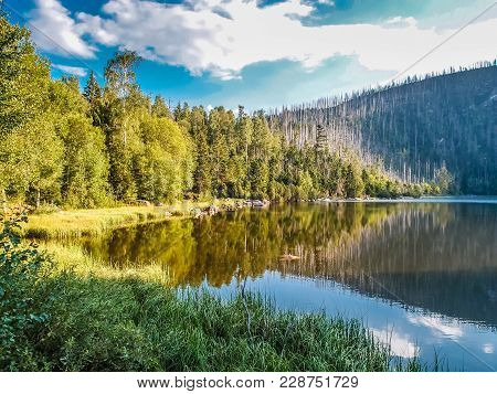 Cerne Jezero - Sumava National Park, Czech Republic, Europe