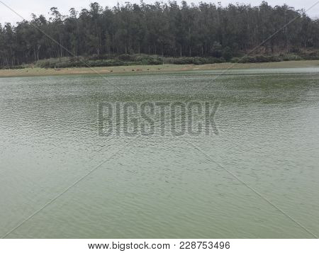 This Is Very Good View Of Ooty Lake.   Very Beautiful Photo From Ooty, India.