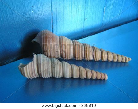 Zwei Schalen