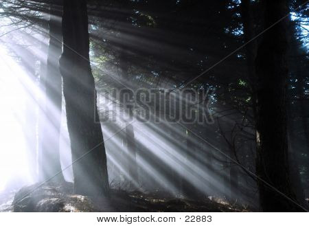 Raggi di sole