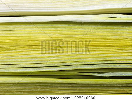 A Closeup Of Three Slices Of The Leek Lengthwise Cut
