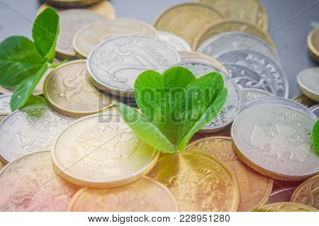Scattered Russian Coins On A Gray Background With Leaves Of Clover. Good Luck, St. Patrick's Day.