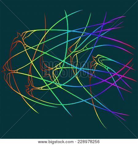 Group Of Birds Of Rainbow Color In Vector