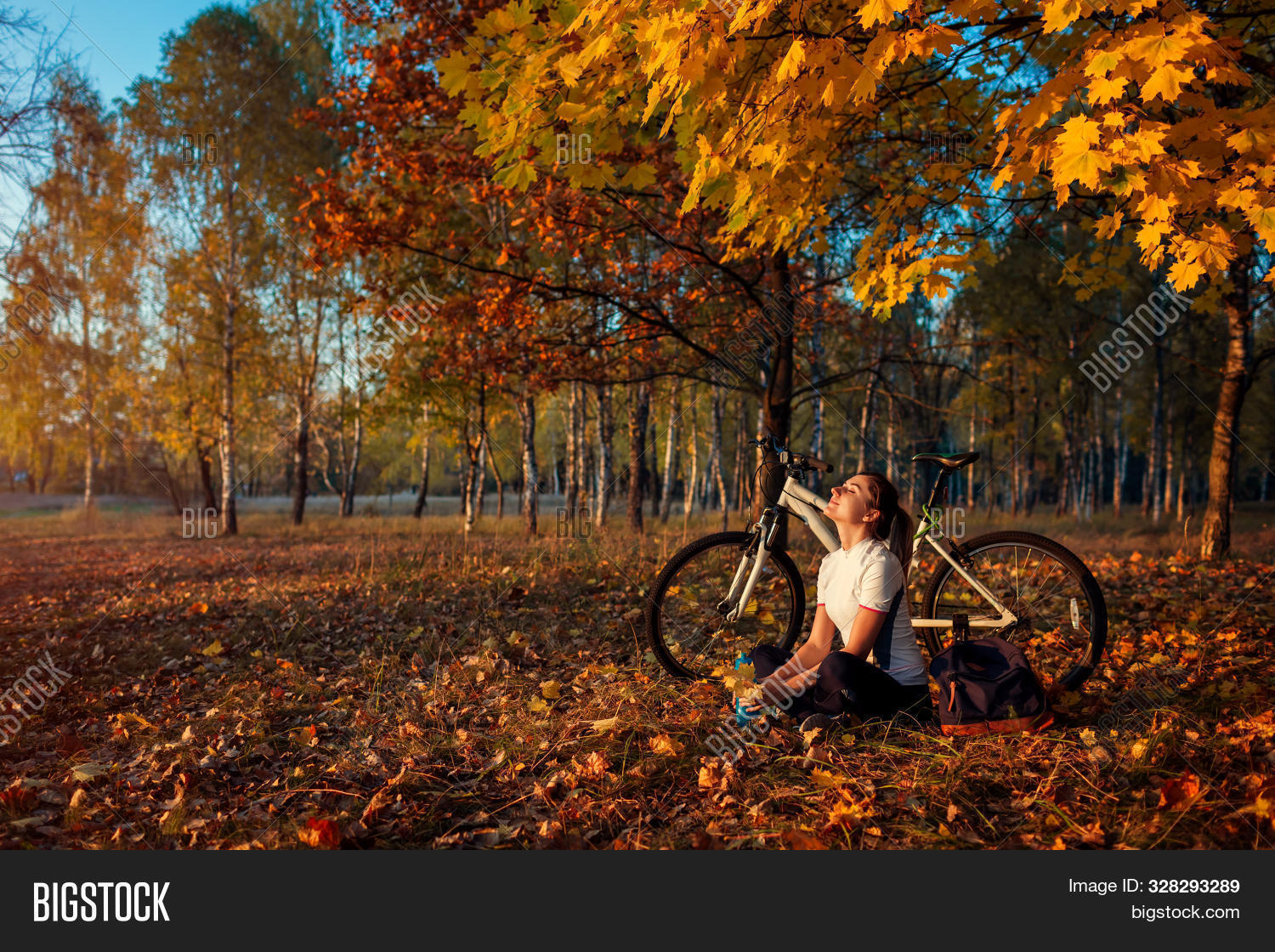 Осенняя дорога. Дорога в осень. Осенняя дорога. Tree falls on car. Осенняя дорога с машиной.