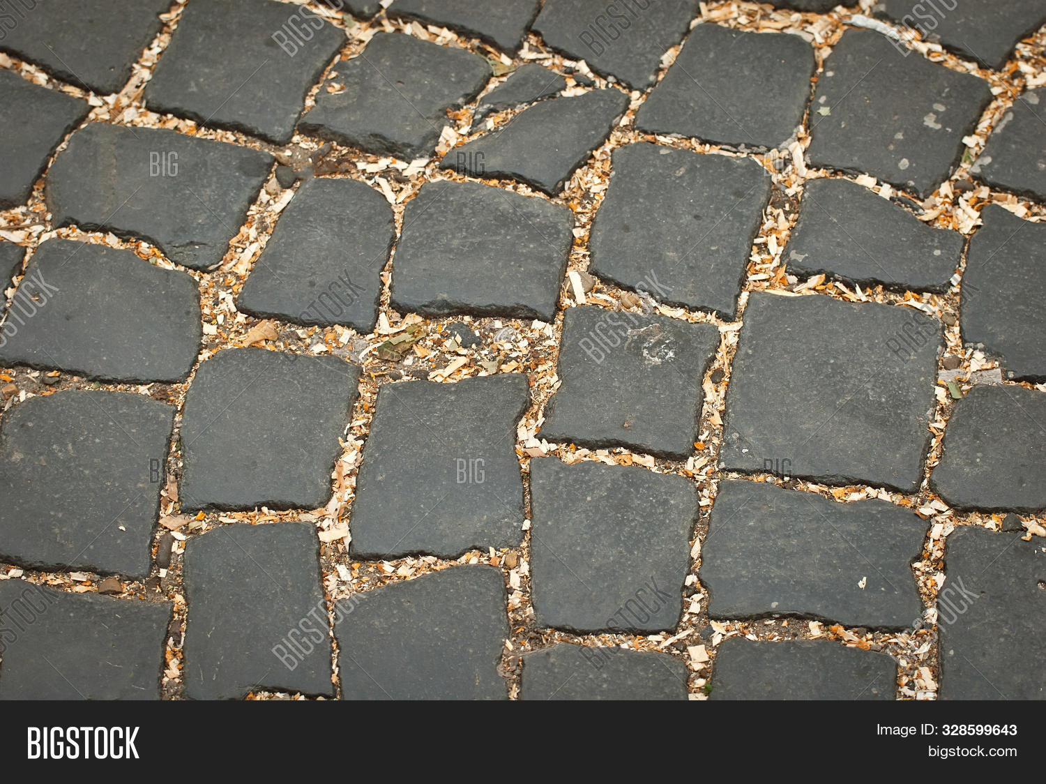 Stret Tile Blank Street Tile Image & Photo (Free Trial) | Bigstock