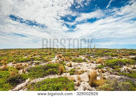 Kangaroo Island Landscape With Cape Du Couedic Lighthouse On Horizon, South Australia