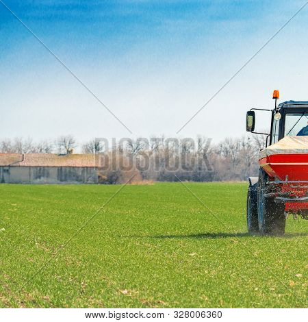 Unrecognizable Farmer In Agricultural Tractor Is Fertilizing Wheat Crop Field With Npk Fertilizer Nu