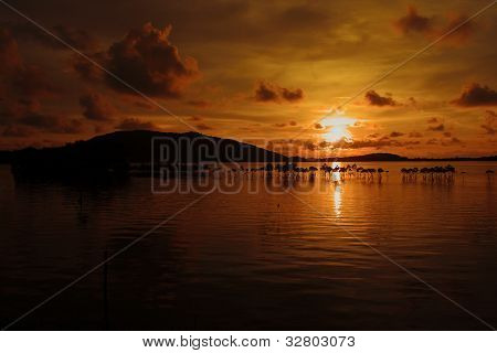 Pôr do sol na costa do mar