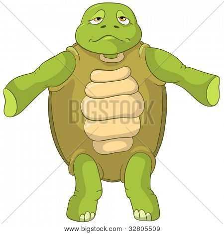 lustige Schildkröte