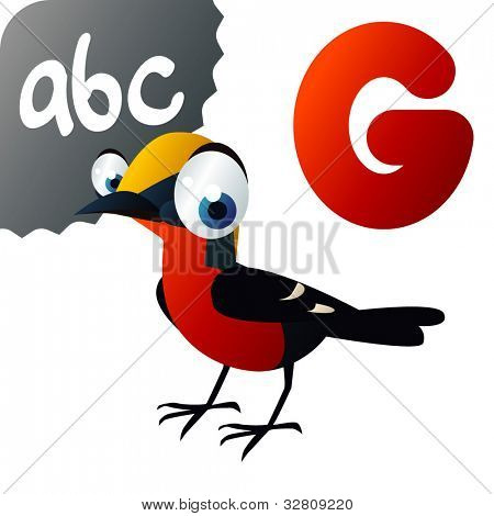 G Gonolek입니다.