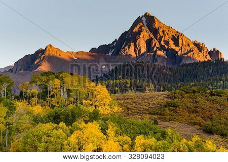 Golden Leaves Of Aspen Trees In The Beautiful Rocky Mountains Of Colorado. Mt. Sneffels At Sunset