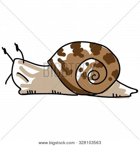 Sketchy Garden Snail Vector Illustration. Freehand Drawn Yard Wildlife Mollusc Clipart. Gastropod Sh